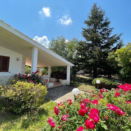 Rose Country Villa กัสซาโน เดลเล มูร์เจ ภายนอก รูปภาพ