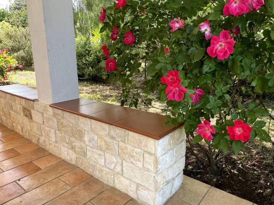Rose Country Villa กัสซาโน เดลเล มูร์เจ ภายนอก รูปภาพ